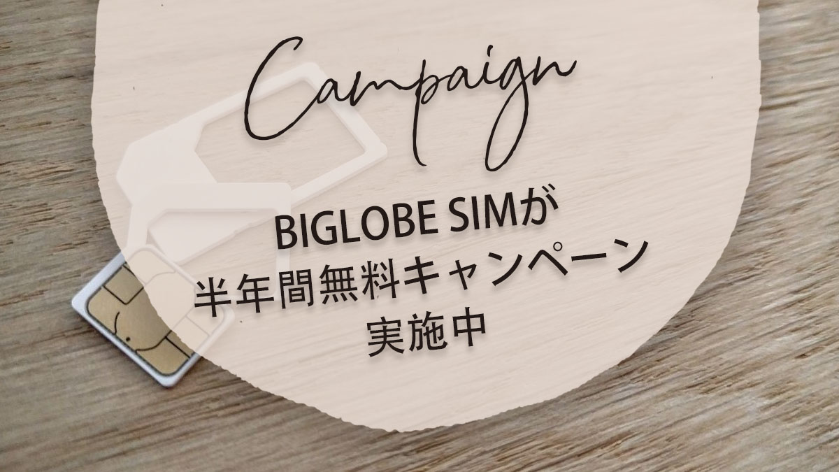 BIGLOBE SIMが音声通話SIM半年間無料キャンペーン実施中！新規事務手数料ポイント還元で実質無料！